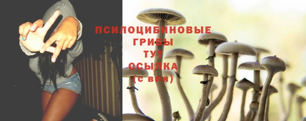 соль курить ск Алексин